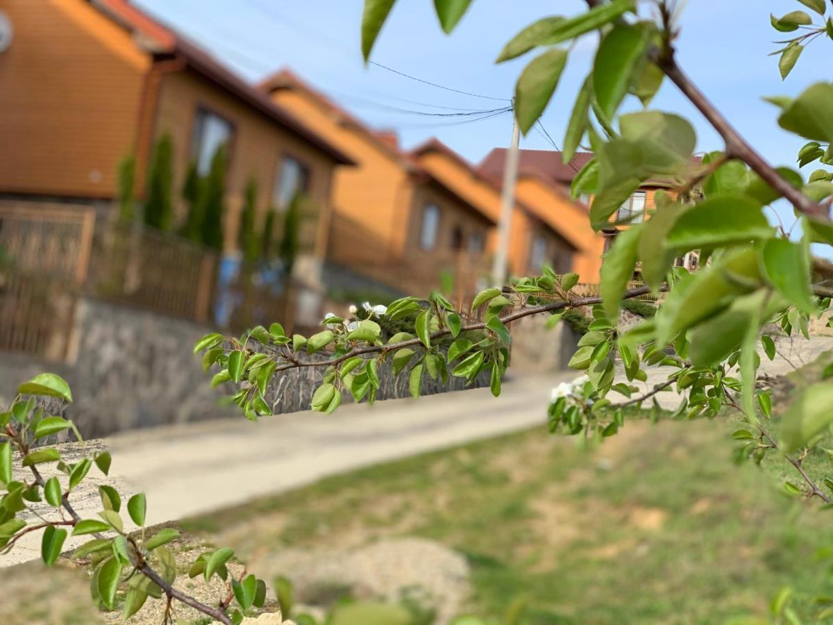 Mini Hotel Solnce Karpat Polyana  Dış mekan fotoğraf