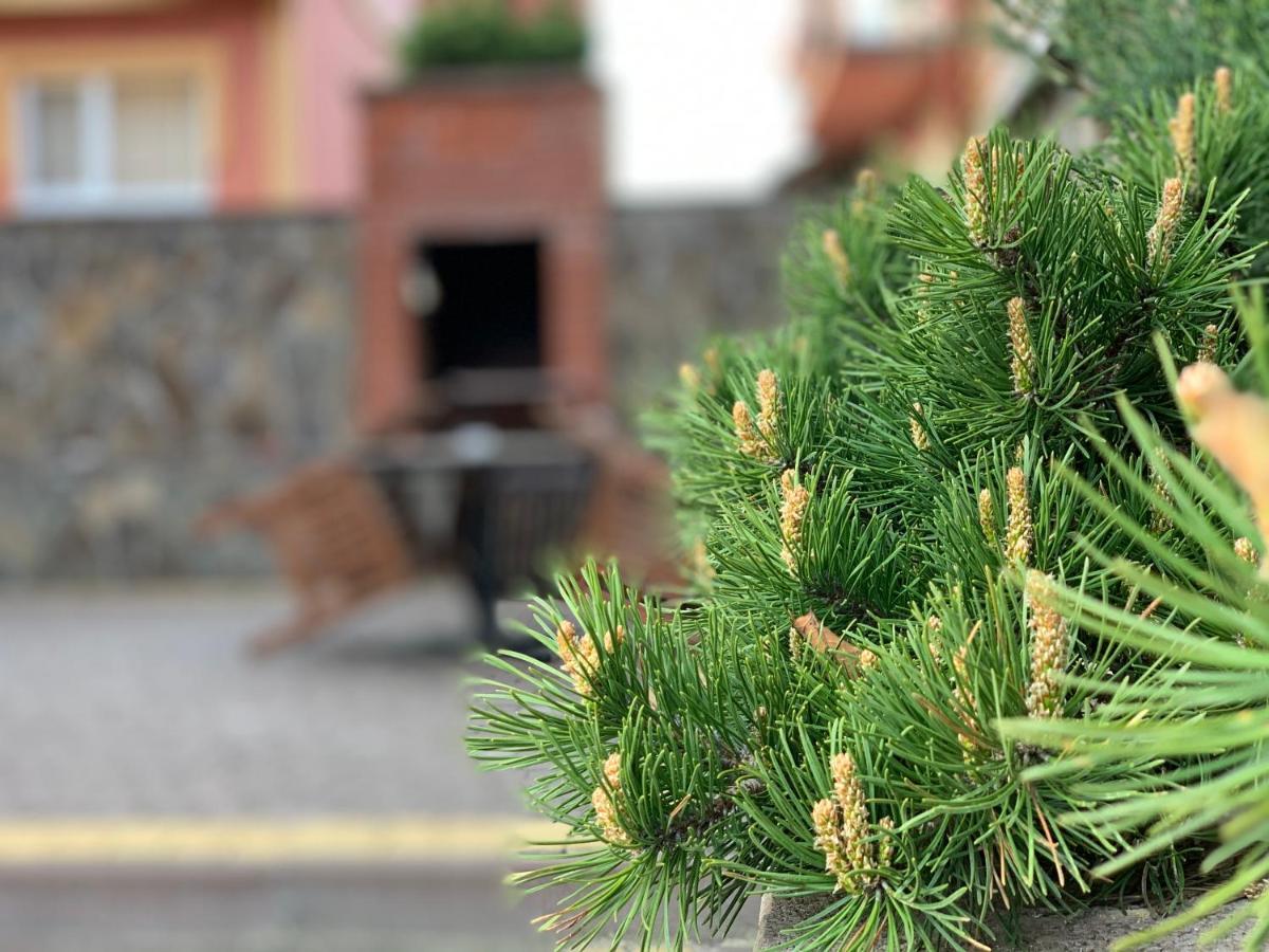Mini Hotel Solnce Karpat Polyana  Dış mekan fotoğraf